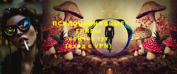 марки lsd Нязепетровск